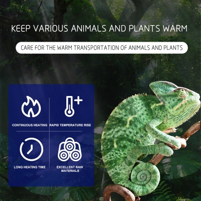Transport Reptile Animal Shipping Warmer