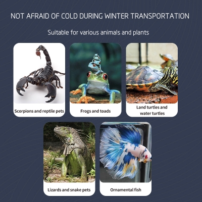Transport Reptile Animal Shipping Warmer